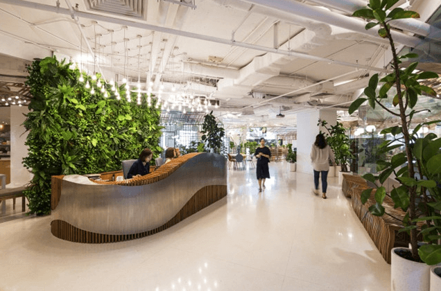 办公室装修公司谈谈室内绿化的重要性